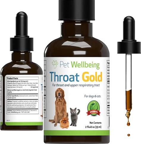 Top Home Remedies for Soothing Your Pet's Sore Throat: Expert Tips and Natural Solutions