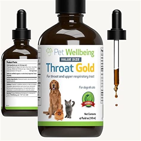 Top Home Remedies for Soothing Your Pet's Sore Throat: Expert Tips and Natural Solutions