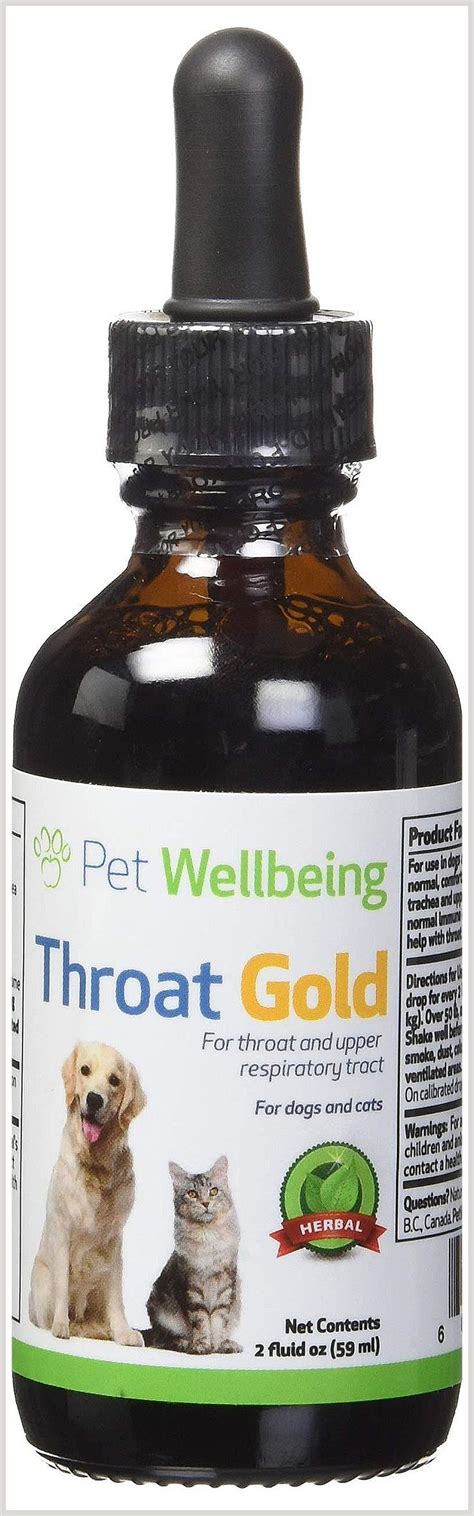 Top Home Remedies for Soothing Your Pet's Sore Throat: Expert Tips and Natural Solutions