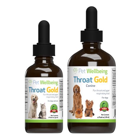 Top Home Remedies for Soothing Your Pet's Sore Throat: Expert Tips and Natural Solutions