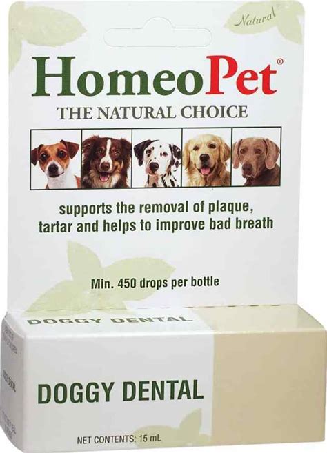 Effective Home Remedies for BV: Simple Solutions to Enhance Your Pet's Health and Well-Being