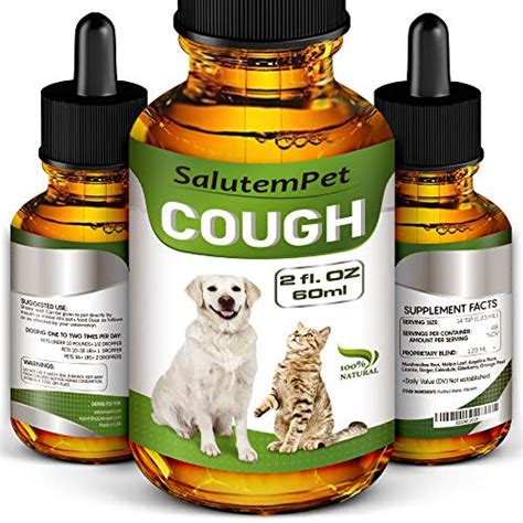 Top 10 Cough Drops for Pets: Essential Picks for Effective Relief and Well-being