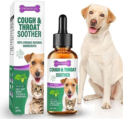 Top 10 Cough Drops for Pets: Essential Picks for Effective Relief and Well-being