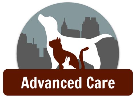 Universal Health Care for Pets: Comprehensive Strategies for Optimal Veterinary Medicine and Preventive Care