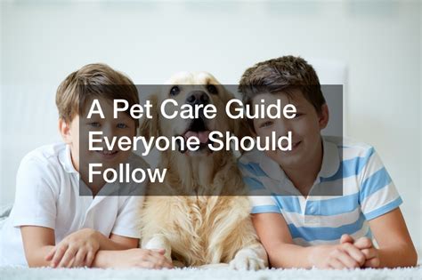 Top Depression Medications for Pets: Comprehensive Guide to Treatment Options and Care