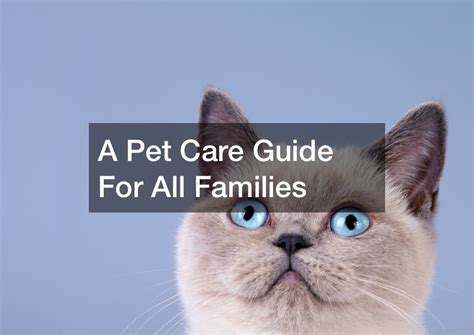 Top Depression Medications for Pets: Comprehensive Guide to Treatment Options and Care