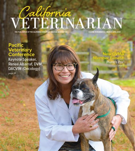 Top High-Paying Healthcare Jobs in Specialized Pet Care: Lucrative Opportunities in Veterinary Dermatology, Cardiology, Orthopedics, and Oncology