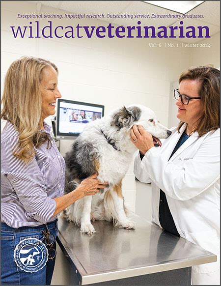 Top High-Paying Healthcare Jobs in Specialized Pet Care: Lucrative Opportunities in Veterinary Dermatology, Cardiology, Orthopedics, and Oncology