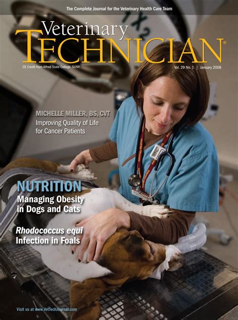 Top High-Paying Healthcare Jobs in Specialized Pet Care: Lucrative Opportunities in Veterinary Dermatology, Cardiology, Orthopedics, and Oncology