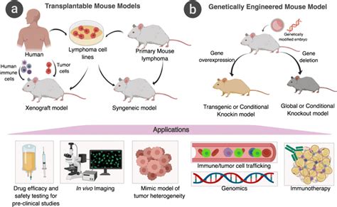 Breakthroughs in Biomedical Science: New Research Shaping Veterinary Medicine for Healthier Pets