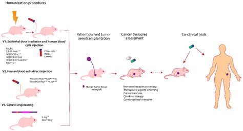 Breakthroughs in Biomedical Science: New Research Shaping Veterinary Medicine for Healthier Pets