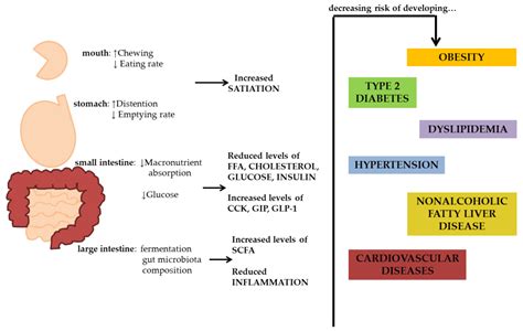 Comprehensive Analysis of Veterinary Medicine Dissertations: Latest Research Trends and Findings