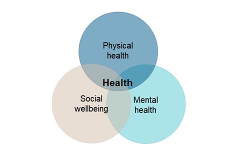 Unlocking the Secrets of Developmental Psychology: Insights and Innovations in Veterinary Research