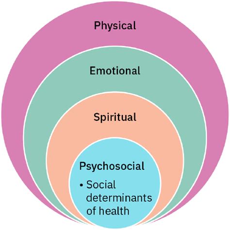 Unlocking the Secrets of Developmental Psychology: Insights and Innovations in Veterinary Research