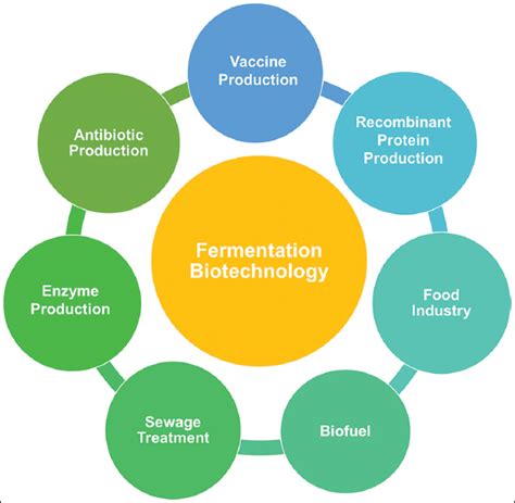 Exploring Social Psychology: How Behavioral Insights Are Shaping Veterinary Medicine and Pet Care Innovations