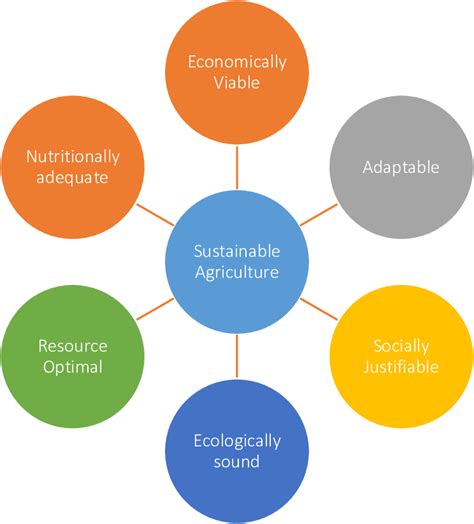 Exploring Social Psychology: How Behavioral Insights Are Shaping Veterinary Medicine and Pet Care Innovations