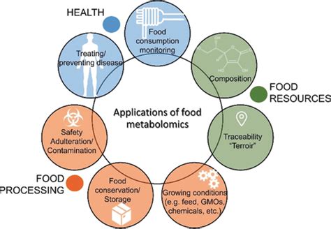 Exploring Social Psychology: How Behavioral Insights Are Shaping Veterinary Medicine and Pet Care Innovations