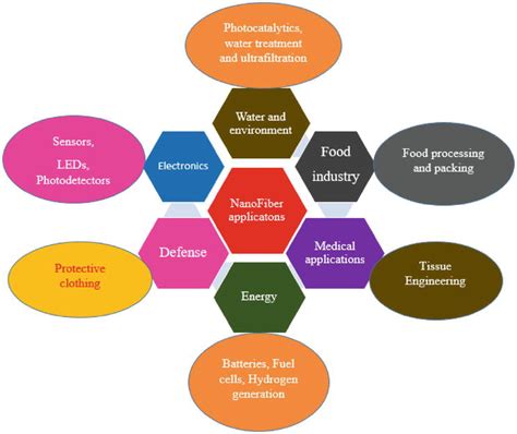 Exploring Social Psychology: How Behavioral Insights Are Shaping Veterinary Medicine and Pet Care Innovations