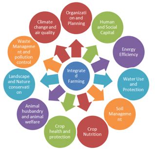 Exploring Social Psychology: How Behavioral Insights Are Shaping Veterinary Medicine and Pet Care Innovations