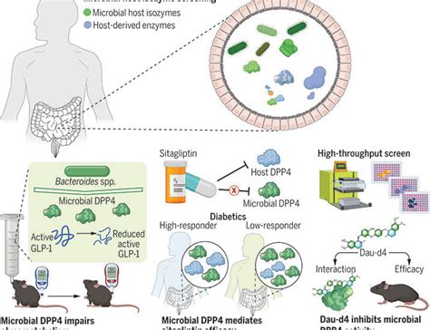 How Molecular Biologists Are Revolutionizing Veterinary Medicine: Insights and Innovations in Pet Care