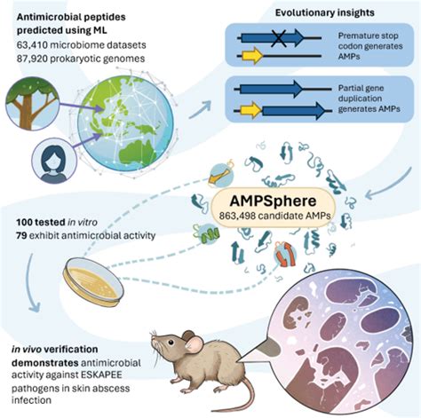 How Molecular Biologists Are Revolutionizing Veterinary Medicine: Insights and Innovations in Pet Care