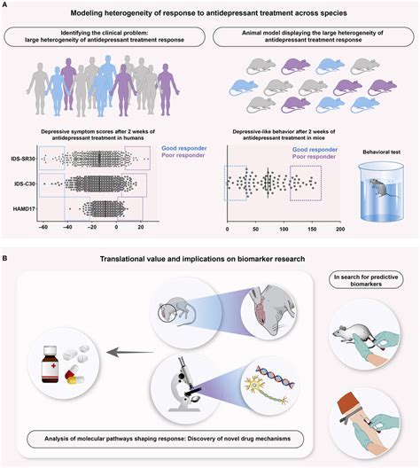 How Molecular Biologists Are Revolutionizing Veterinary Medicine: Insights and Innovations in Pet Care