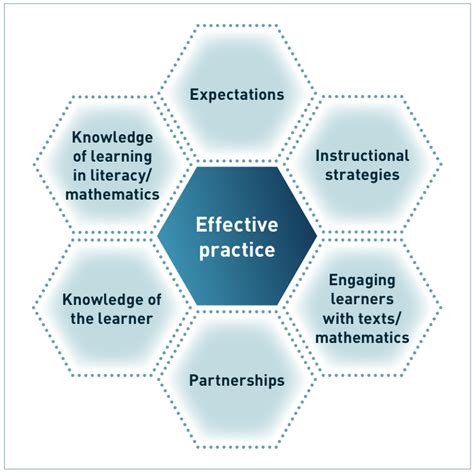 Exploring the Impact of Longitudinal Studies on Advancements in Veterinary Medicine: Insights and Innovations