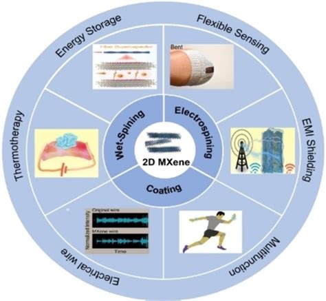 Polysomnography in Veterinary Medicine: Advancements and Applications for Better Pet Health