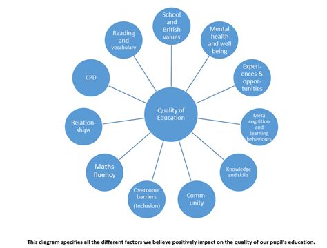 Understanding Clinical Information Systems: Enhancing Veterinary Care Through Technology and Policy Insights