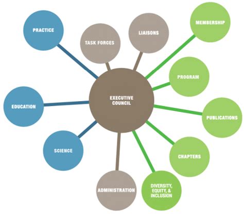 Understanding Clinical Information Systems: Enhancing Veterinary Care Through Technology and Policy Insights