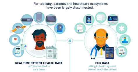 Understanding Electronic Health Records Software: Revolutionizing Veterinary Care and Pet Health Management