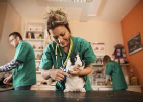 Navigating Healthcare Policy: Essential Health Management Information for Veterinary Care