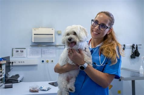 Navigating Healthcare Policy: Essential Health Management Information for Veterinary Care