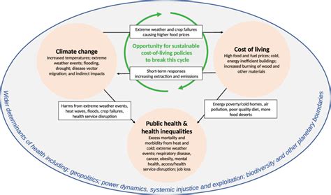 Comprehensive Overview of the 2014 Ebola Outbreak: Key Lessons and Preventive Measures for Pet Owners