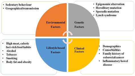 Comprehensive Overview of the 2014 Ebola Outbreak: Key Lessons and Preventive Measures for Pet Owners