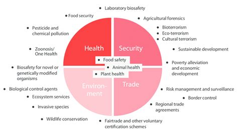 Comprehensive Overview of the 2014 Ebola Outbreak: Key Lessons and Preventive Measures for Pet Owners