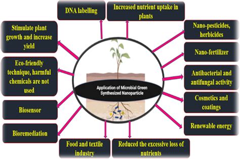 Comprehensive Guide to Recent Foodborne Illness Outbreaks: Protecting Your Pets from Emerging Health Risks