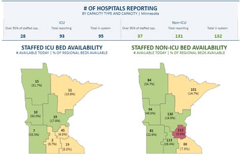 Understanding the Latest Tuberculosis Outbreak: Key Insights, Preventive Measures, and Health Risks for Pets