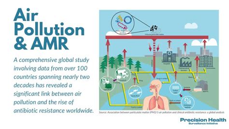 Understanding the Recent TB Outbreak: Key Facts and Prevention Tips for Pet Owners