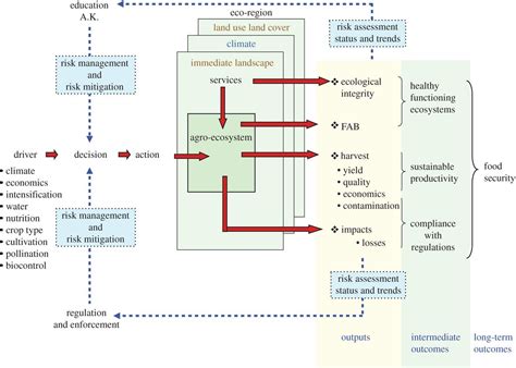 Strawberry and Hepatitis: Latest Insights on How Emerging Pathogens Affect Pet Health and Preventive Measures