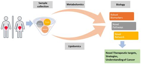 Strawberry and Hepatitis: Latest Insights on How Emerging Pathogens Affect Pet Health and Preventive Measures