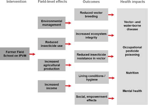 Strawberry and Hepatitis: Latest Insights on How Emerging Pathogens Affect Pet Health and Preventive Measures