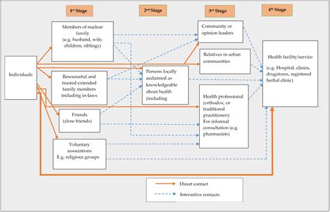 Strawberry and Hepatitis: Latest Insights on How Emerging Pathogens Affect Pet Health and Preventive Measures