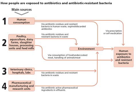 Strawberry and Hepatitis: Latest Insights on How Emerging Pathogens Affect Pet Health and Preventive Measures