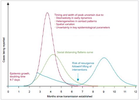 Pandemic vs. Epidemic: Understanding Key Differences and How to Protect Your Pets from Emerging Health Threats