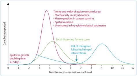 Pandemic vs. Epidemic: Understanding Key Differences and How to Protect Your Pets from Emerging Health Threats