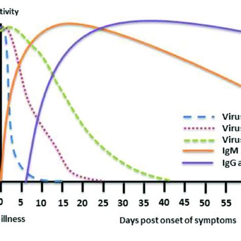 Pandemic vs. Epidemic: Understanding Key Differences and How to Protect Your Pets from Emerging Health Threats