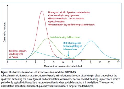 Pandemic vs. Epidemic: Understanding Key Differences and How to Protect Your Pets from Emerging Health Threats