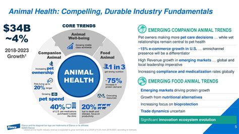 Advancing Pet Healthcare: Cutting-Edge Biotechnology Innovations Transforming Veterinary Medicine