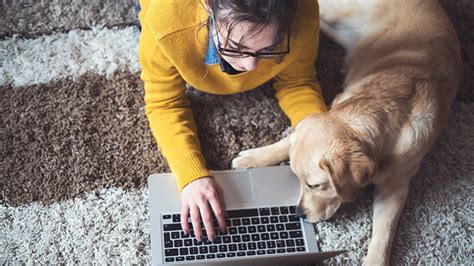 Revolutionizing Pet Healthcare: The Role of Computer Networks in Veterinary Medical Technology